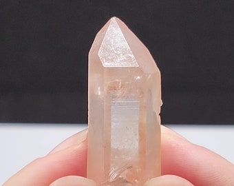 Peach Lemurian Seed Quartz- 1.7in or 4.4cm Long- Serra Do Cabral Mountains Brazil- Portal Barnacle Manifestation, Vibrant Peach- PL16