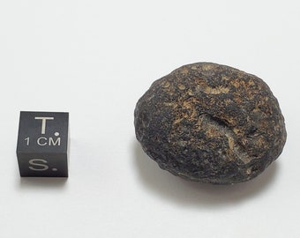Cintamani Saffordite 17.8 Grams- "Cintamani Stone" Safford Arizona USA- Slightly Weathered, Semi Flat- Dark Translucent- AA14