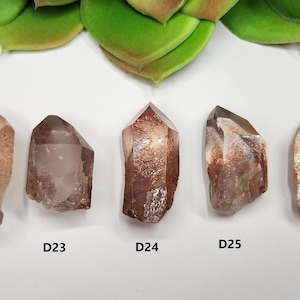 Select a Sunset Golden Healer Quartz (3-5.7cm Long) Serra Do Cabral, Brazil- Beautiful Color, Starbrary Records, Partial Polish- (D1-D26)