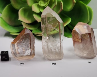 Select a Sunset Golden Healer Quartz (4-6.5cm Long) Serra Do Cabral, Brazil- Free Standing, Starbrary Records, Partial Polish- (DA1-21)