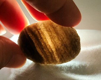 Saffordite 21 Grams- "Cintamani Stone" Safford Arizona USA- Unique, Flat Oval, Perfect Palm Stone Shape- Banded Translucent- AD8