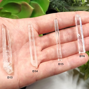 May include: Four clear quartz crystal points of varying sizes are held in a hand. The crystals are transparent with visible internal structures. Each crystal is labeled with a "D" followed by a number, such as "D13" and "D16".
