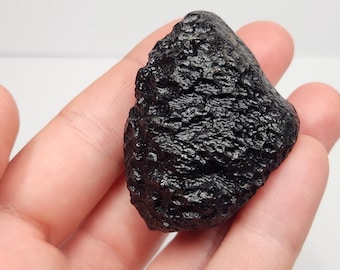 Tektite from Thailand: 51.8 Grams- Thailandite, Indochinite, Stands- TU17