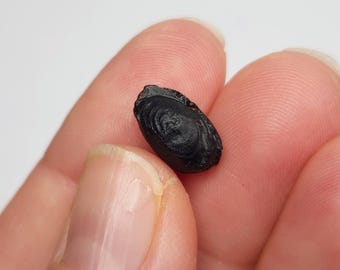 Australite Tektite, South Australia: 0.77 gram Australasian Impact- Core Shape- D28