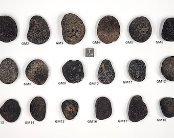 One Saffordite [8.6-30Grams]: "Cintamani Stone" Safford Arizona, USA- Your Choice- Translucent to Opaque- (GM1-18)