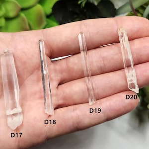 May include: Four clear quartz crystal points of varying sizes are displayed. Each crystal is a translucent, pale color, with visible internal structures. The crystals are labeled D17, D18, D19, and D20. The crystals are held in a hand.