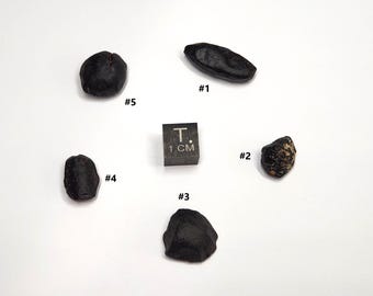 Choose One Australite Tektite from South Australia- Australasian Impact- Rare, One Partial Flange, Cigar Shape, Seed like- (#1-#5)