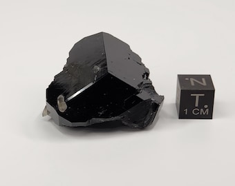 Black Tourmaline Crystal with Micro Smokey Quartz- Erongo Namibia- 2.1cm Tall, 32.7 gram- Geometric Termination, Lustrous, Semi Flat- A9