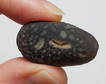 Cintamani Saffordite 11.2 Grams- "Cintamani Stone" Senora Desert Arizona, USA- Oblong, Beautiful Surface- Translucent- SH3