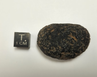 Saffordite 21 Grams- "Cintamani Stone" Safford Arizona USA- Beautiful Black Surface, Kidney Bean Shaped- Translucent- AD12