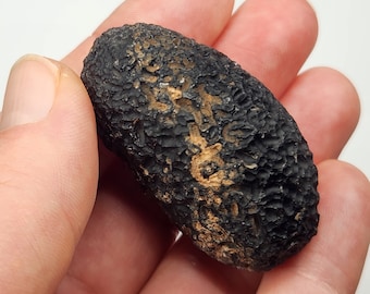 Saffordite 39.2 Grams- "Cintamani Stone" Safford Arizona USA- Oblong, Gorgeous Highly Textured, Eye Rune, Palm Stone- Translucent- AG7