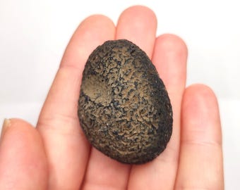 Saffordite 32.4 Grams- "Cintamani Stone" Safford Arizona USA- Part Mineralized, Teardrop, Palm Stone- Translucent- AJ1
