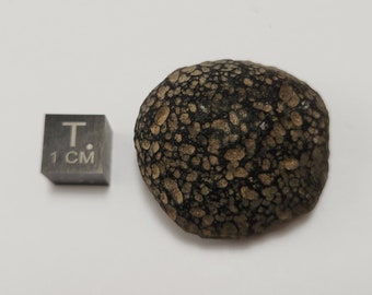 Saffordite 20.6 Grams- "Cintamani Stone" Safford Arizona USA- Semi Flat Round, Beautiful Texture Palm Stone- Highly Translucent- AE11