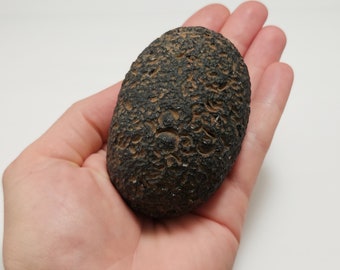 Huge 233.2 Gram Saffordite- Translucent- "Cintamani Stone"  from Arizona, USA- Museum Quality, Extra Large, Dragon Egg, One of A kind- SAF*