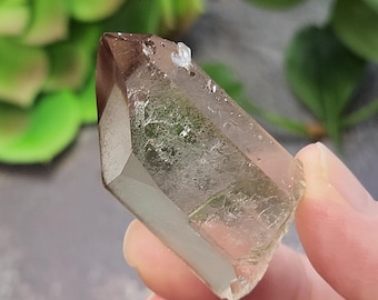 Etched Smokey Quartz Crystal 1.8 inch or 4.5 cm Long- Gouveia, Brazil- Rainbow Barnacle Child, Glistening Smokey Champagne- LJ9