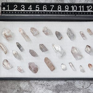 May include: A collection of 20 clear quartz crystals of varying sizes and shapes, displayed in a black velvet-lined tray. The crystals are arranged in rows and columns, with some crystals overlapping others.