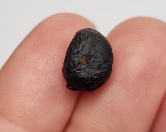 Australite Tektite, South Australia: 1.07 gram Australasian Impact- Seed like Core Shape- D26