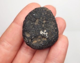 Saffordite 20.3 Grams- "Cintamani Stone" Safford Arizona USA- Deep White Mineralized 'Heart Zones'- Banded Translucent- AJ8