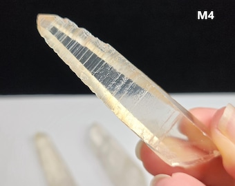 Lemurian Quartz