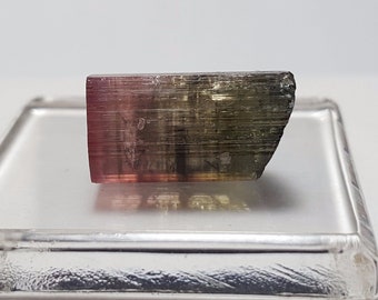 Raw Natural Tourmaline Crystal - Lipstick Liddicoatite Tourmaline from Madagascar - 3.6 Grams - Raw Gemstone, Multi Color Tourmaline-#4