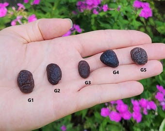 Select One Colombianite Valle Del Cauca, Colombia- Highly Translucent, Top Quality, Reki, Meditation Stone- (G1-30)