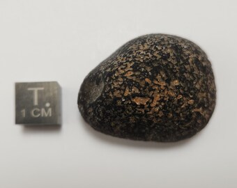 Saffordite 24.7 Grams- "Cintamani Stone" Safford Arizona USA- Perfect Palm Stone, Tear Drop Shape- Translucent- AE9