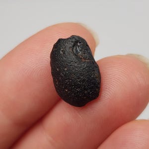 Puede incluir: Una pequeña piedra oscura de forma irregular con una superficie texturizada. La piedra se sostiene entre dos dedos sobre un fondo liso. El color de la piedra es negro intenso, con sutiles variaciones de tono.