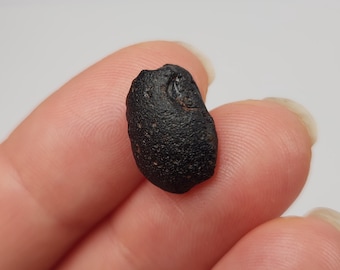 Australite Tektite, South Australia: 1.15 gram Australasian Impact- Part Flange Formation, Unique Shape- D4