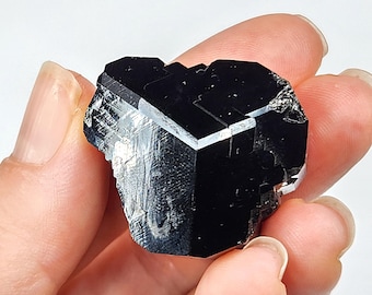 Black Tourmaline Crystal- Erongo Namibia- 1.8cm Tall, 31.5 gram- Geometric Termination, Lustrous, Shimmering Keys- A11