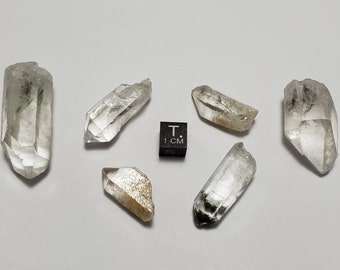 6 Unpolished 'Garden/ Shaman' Quartz Crystal with Excellent Mineral Inclusions Lodolite, Chlorite, Hematite etc.- Brazil- 54.4 Grams- BP L#1
