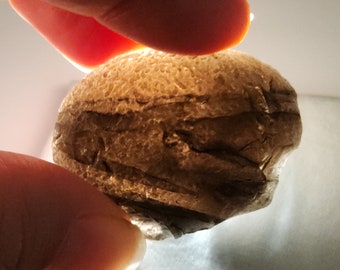 Saffordite 22.2 Grams- "Cintamani Stone" Safford Arizona USA- Flat Palm Stone, Large Chip, Weathered- Banded Translucent- AE22