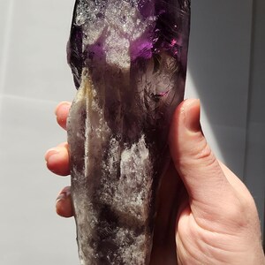 Bacchetta canora in ametista dente di drago non lucidata: 23 cm di lunghezza - Bahia, Brasile - Chevron Phantoms, zone di colore citrino fumé, radice - n. 3 immagine 3