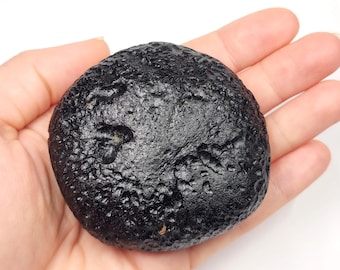 Tektite from Thailand: 205.8 Grams- Thailandite, Indochinite- Museum Grade Massive Collectors Piece- TU13