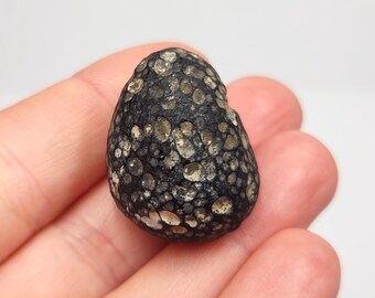 Saffordite 'Cintamani': 14.8 Grams, Safford Arizona USA- Mineralized Dalmatian Pattern, Translucent- GP5