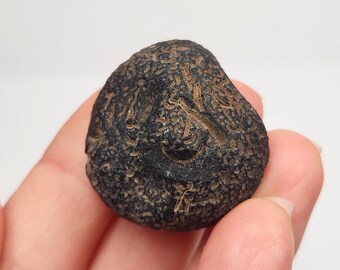 Saffordite 'Cintamani': 19.5 Grams, Safford Arizona USA- Natural Rune Stone, Mineralized Grooves, Translucent- GP2