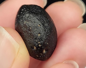 Australite Tektite from South Australia- 7.8 gram- Australasian Impact- Mineralized Pits, Convex Oval Disk- A6