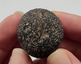 Saffordite 21.7 Grams- "Cintamani Stone" Safford Arizona USA- Rune like Patterns, Ancient Fracture, Irregular Shape- Translucent- AE19