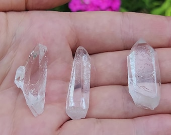 Group of 3 Optical Starbrary Quartz between 3.4-3.6cm Long- Zeca De Souza, Brazil- Symmetry Grid Starter, Purification, Great for Gifts- H24