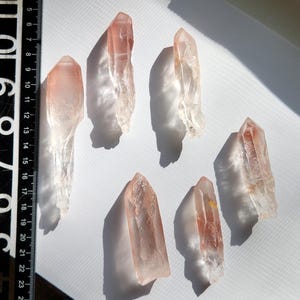 Scarlet temple lemurian - Etsy 日本