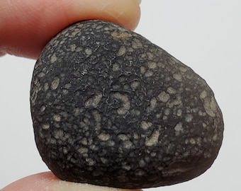 Cintamani Saffordite 16.2 Grams- "Cintamani Stone" Senora Desert Arizona, USA- Beautiful Shape and Texture- Translucent- SJ18