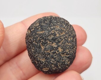 Saffordite 'Cintamani': 18.9 Grams, Safford Arizona USA- Part Mineralized, Weathered Fine Texture, Translucent- GP1