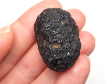 Saffordite 18.1 Grams- "Cintamani Stone" Safford Arizona USA- Highly Textured, Bean Shape, Part Glossy Areas- Translucent- AJ6