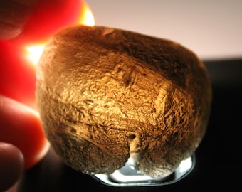 48.1 Grams or 240.5 Carat Agni Manitite- 'Agni Mani' Translucent Psuedotektite- from Java Indonesia- Beautiful Specimens- D3