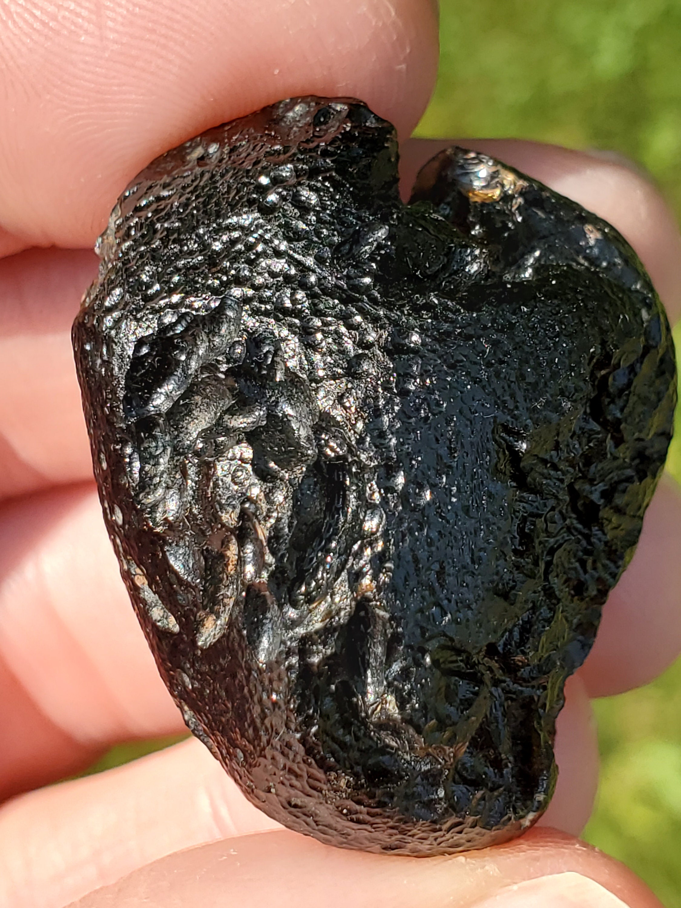 Tektite- Amazing 'Anda' Style Markings, Classic Y-Grooves, Rodent Chew ...