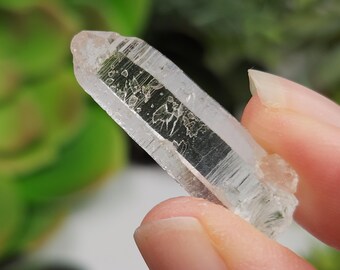 Optical Lemurian Quartz Santander Colombia: 3.3cm or 1.3in long- D43