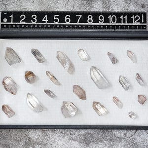 May include: A black display box with a white felt lining containing a collection of 20 clear quartz crystals with a slight pink hue. The crystals are arranged in a grid pattern.