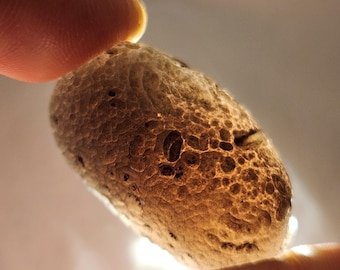 Saffordite 'Cintamani': 14.1 Grams, Safford Arizona USA- Oblong, Weathered, Translucent- GP13