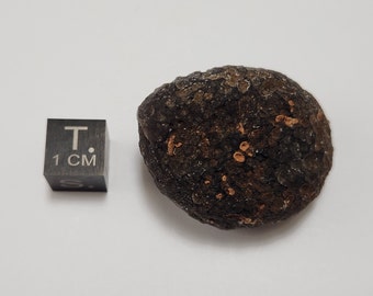 Saffordite 22.1 Grams- "Cintamani Stone" Safford Arizona USA- Palm Stone, Slightly Weathered, Oval Drop Shape- Translucent- AE12