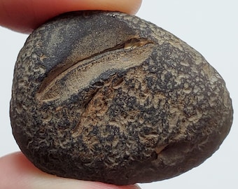 Cintamani Saffordite 16.7 Grams- "Cintamani Stone" Safford Arizona USA- Run Stone, Lovely Shape- Translucent- AA25