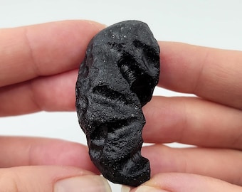 Indochinite Tektite- 28.5grams- Australasian Impact Event- Chrysalises or Crescent Cocoon-I1